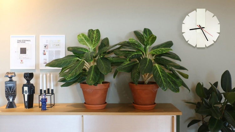 nástenné hodiny dizajn biela-nápad-komoda-rastliny-dekorácie