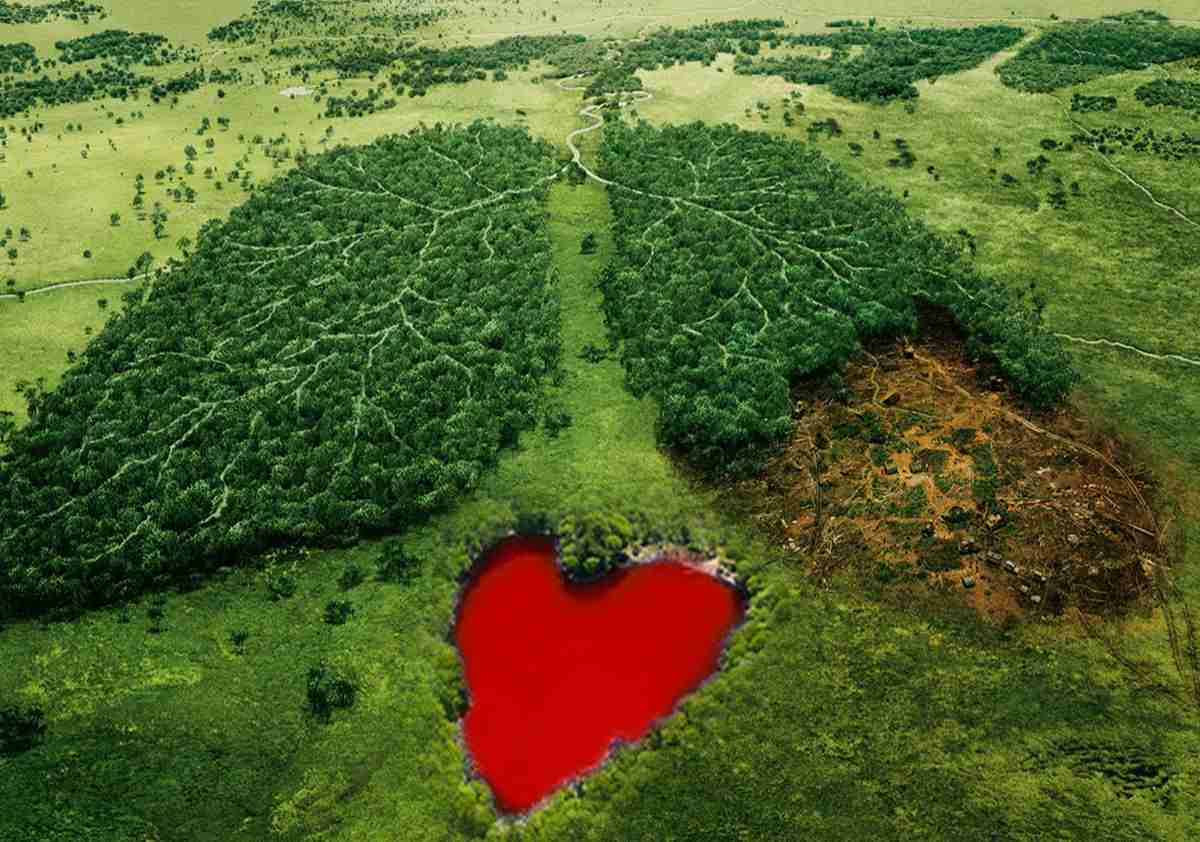 Kyslík vo vzduchu - amazonský prales nie je pľúcami sveta