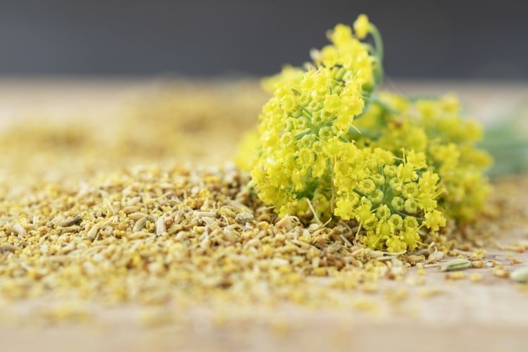 Alergia sa v roku 2021 zvýši v dôsledku klimatických zmien a pandémie