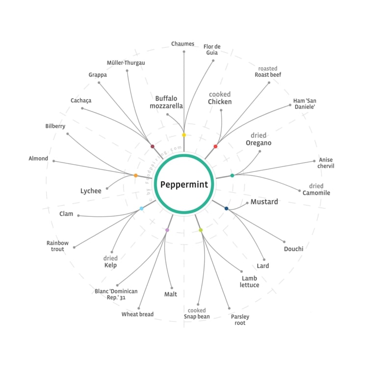 Strom párovania potravín pre mätu piepornú - Kombinácia korenia mimoriadnym spôsobom