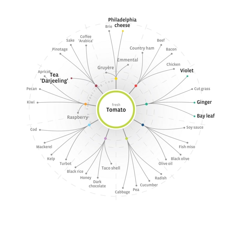 Schéma kombinovania paradajok s inými potravinami podľa vedeckého systému