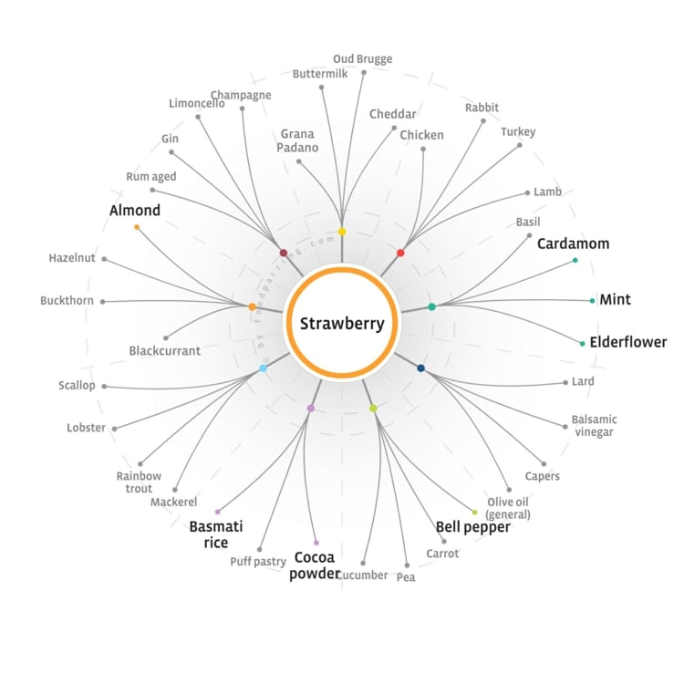 Kombinácia jedla s jahodou - vynikajúce ovocie s ním obzvlášť chutí