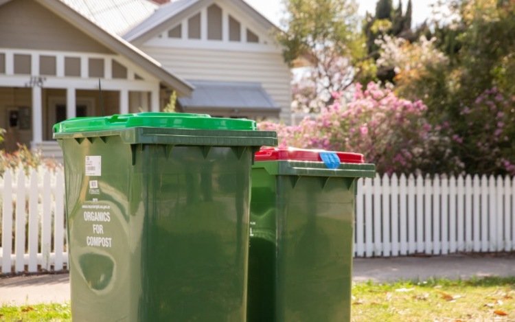 Rýchlo zabite a odháňajte červy v smetnom koši