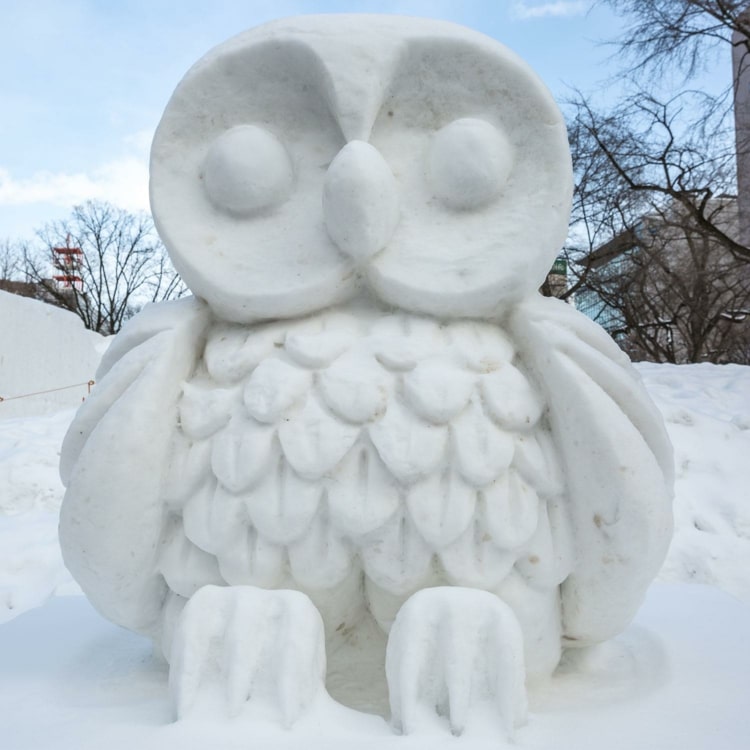 Návrh pre kreatívnych fanúšikov - vyrezať snehovú sovu