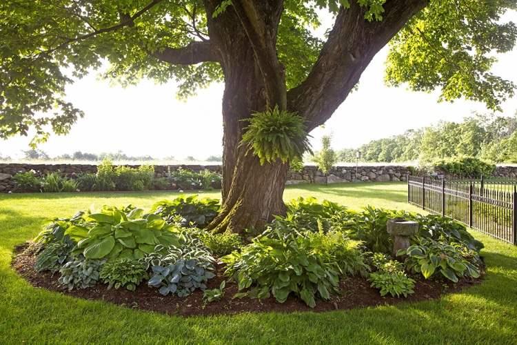 Podzemné kryty pod myšlienkami výsadby stromov