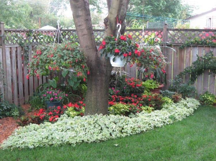 Vytvorenie postele pod stromom Tipy pre rastliny