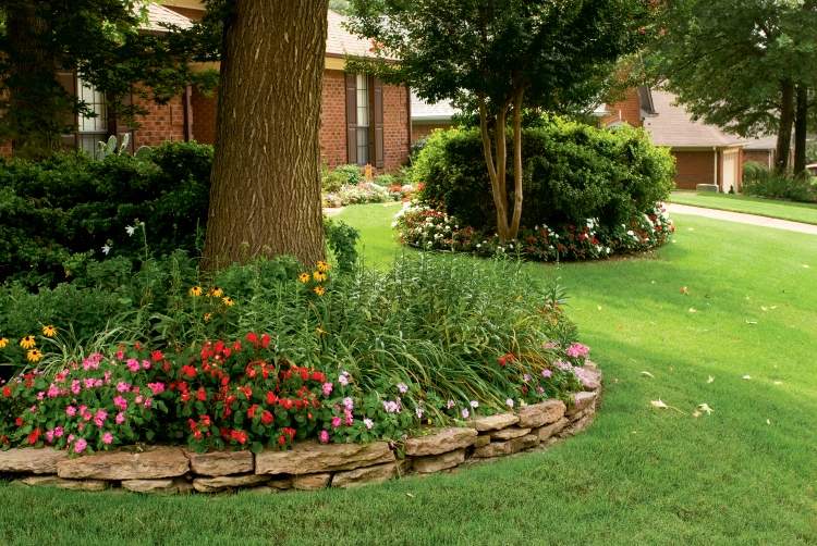 Čo zasadiť okolo stromov Tipy na terénne úpravy okolo stromov