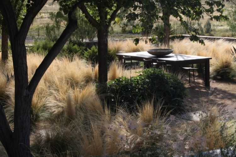 ak nie je žiadny prirodzený odtieň, vytvorte si ho šetriaci strom-záhrada-suchý-tieň-okrasná-tráva-krík-stôl