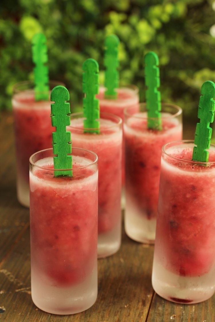 Vyrobte si vodný ľad sami - poháre - záhradná párty - mrazené - ovocie - pyré