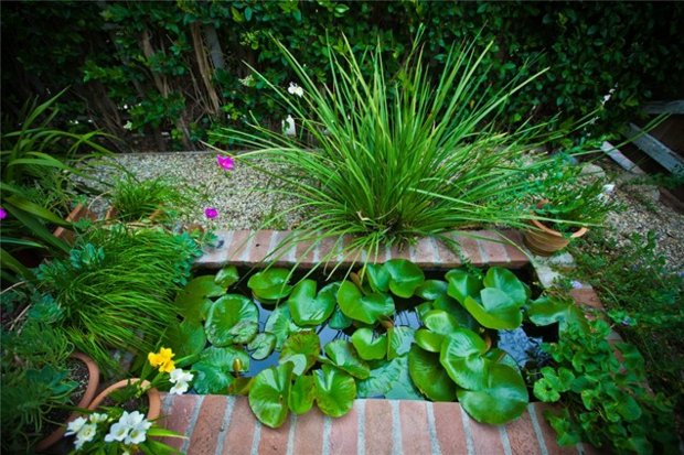 vytvorte tehlový okraj lekno vysoké bylinné kamienky