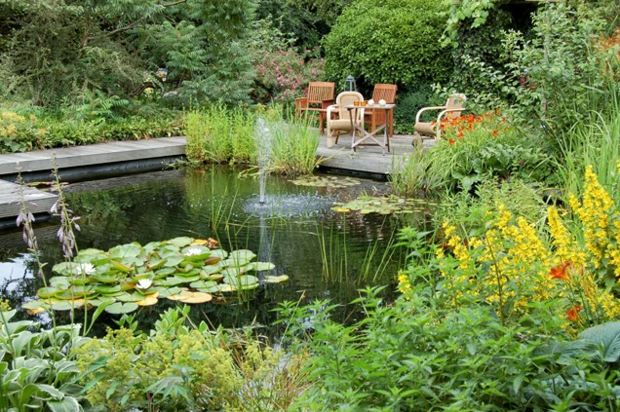 Nápady lekná vysoké rastliny drevený nábytok záhradná cesta