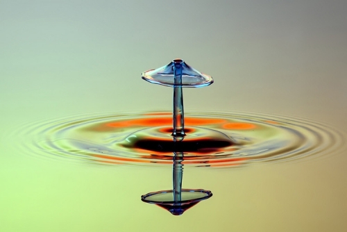 drop fotografia vysokorýchlostný fotoaparát huby kvapky fotografovania húb vysokorýchlostnou kamerou