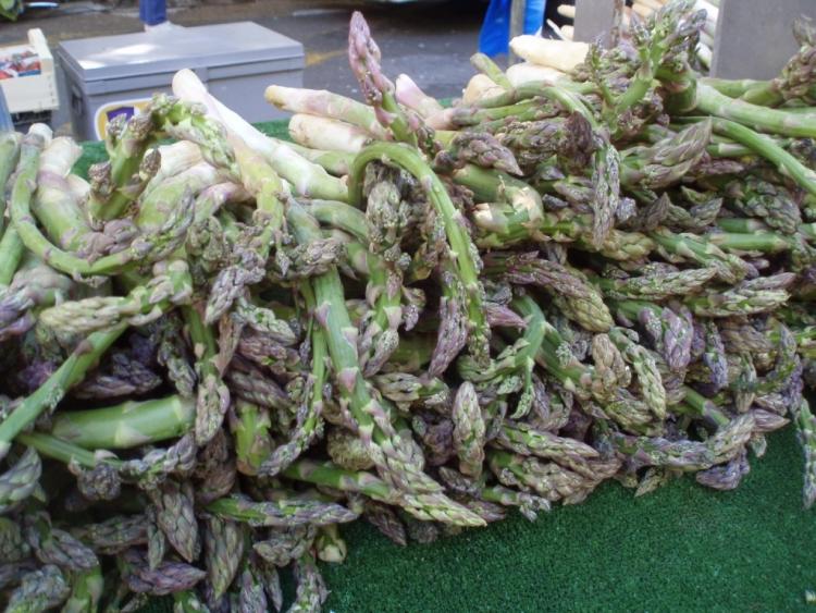 špargľa Pestovanie-špargľa-zber-púčiky-zelená-biela-úroda-veľké žihadlo