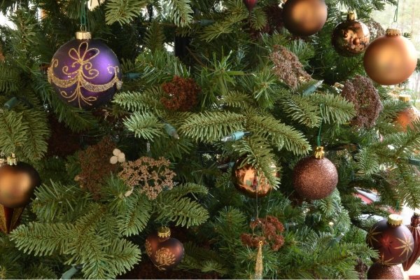 tipy na vianočný stromček smrekové hnedé gule vyberte tipy na vianočný stromček smrekové hnedé gule