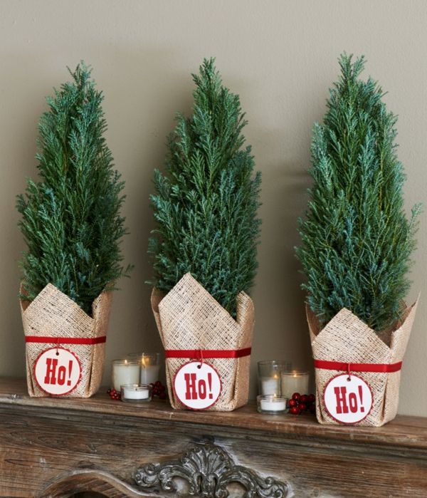 Krbová ozdoba bielych sviečok pilier vianočného stromčeka Vianočný stromček jalovec biele sviečky šípkové drevo