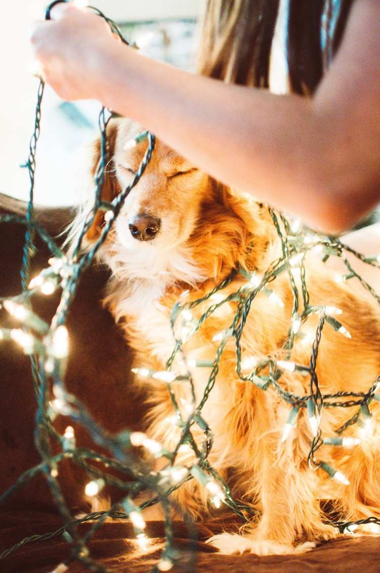 okno s vianočnými svetlami vo vnútri so šnúrou