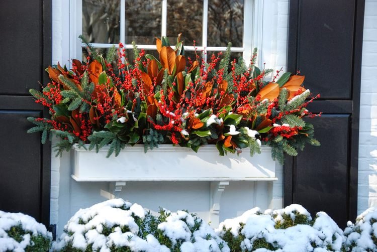 Výsadba kvetináčov v zime Nápady na očarujúce rastlinné úpravy