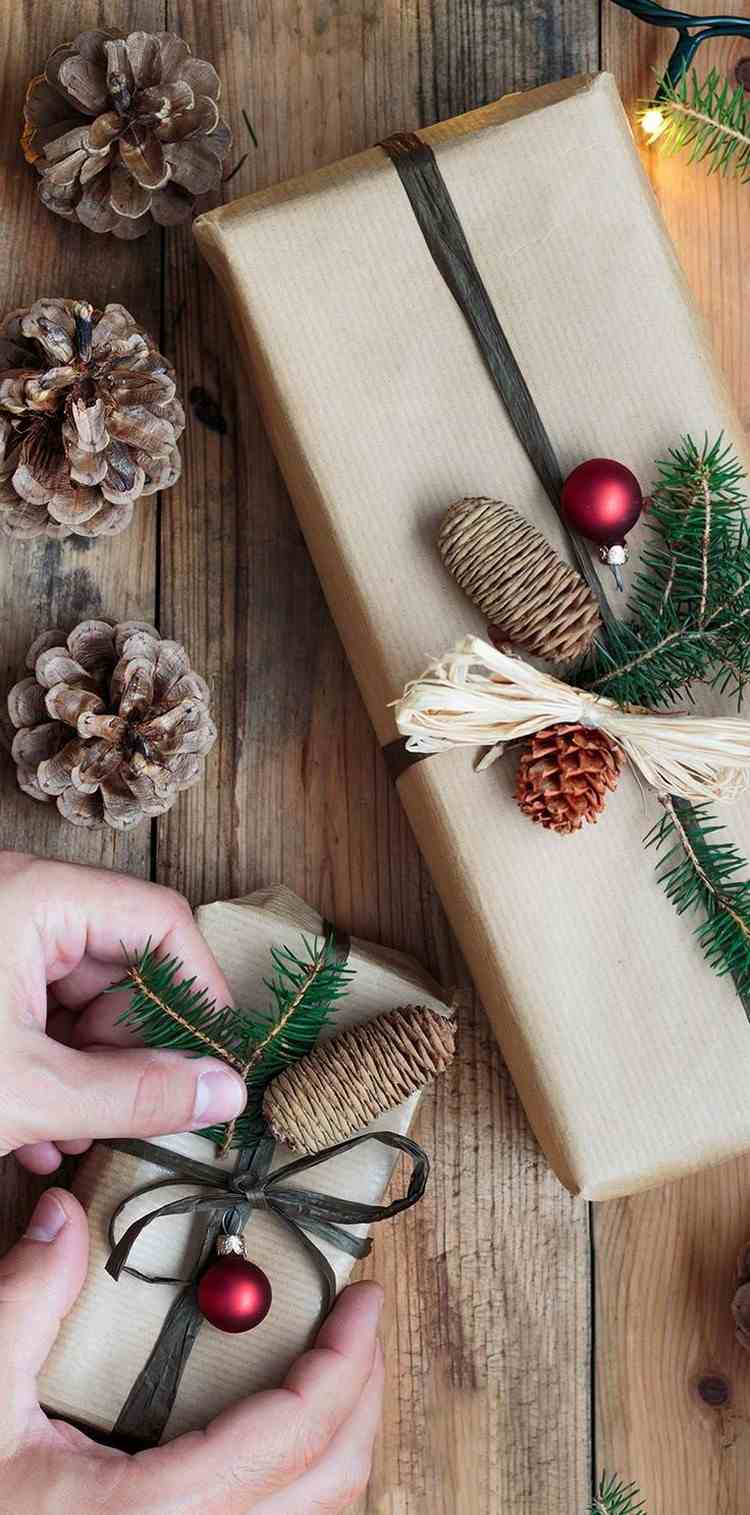 malé vetvičky, šišky a červené vianočné gule na darček vianočné darčeky-nápady-kraft-papier-rafia-stuha-zwiege-kužele-červená guľa