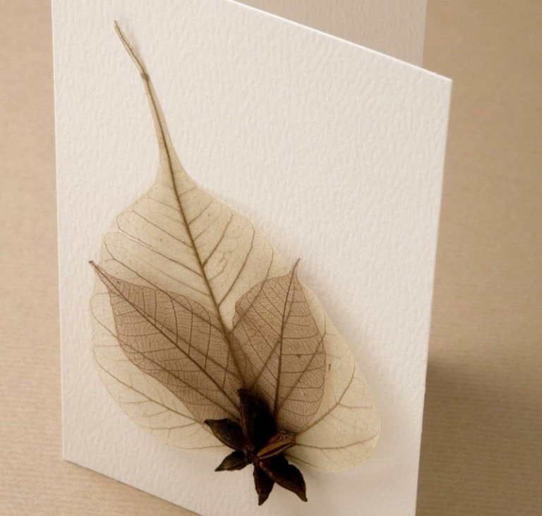 Moderná vianočná pohľadnica s jesenným lístím a badiánom Vianočné pohľadnice-urobte si sami-vyrobte-badyán-aníz-prírodné-materiály-suché listy