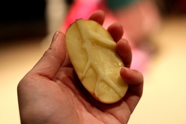 sami si vyrežte domácu pečiatku zo zemiakov Vianočné pohľadnice-urob si sám-drotár-pokyny-zemiaková pečiatka-urob si sám