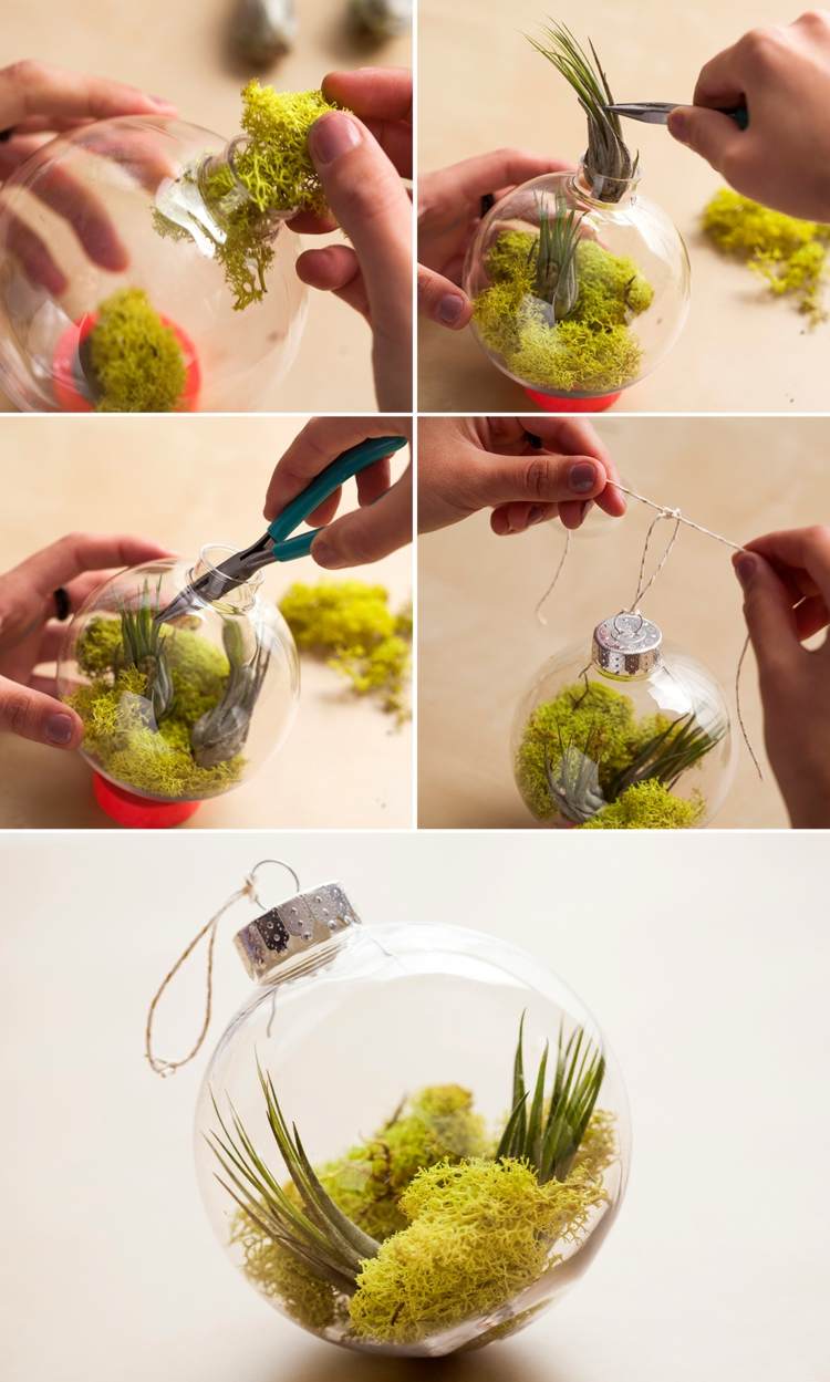 vianočné gule-výplňové-rastliny-mach-sukulentné-aloe-originálne