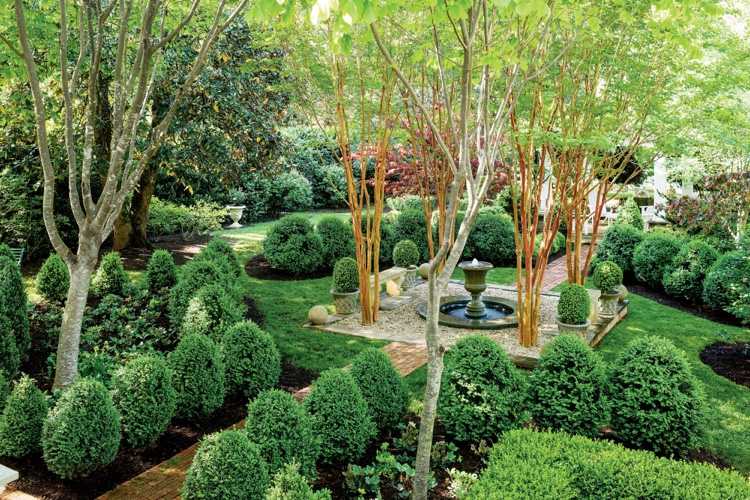 Záhrada s živým plotom z borovicového dreva v tvare rezu