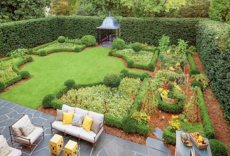 Robustné odrody zimostrázu do záhrady, odolné a odolné voči hubám