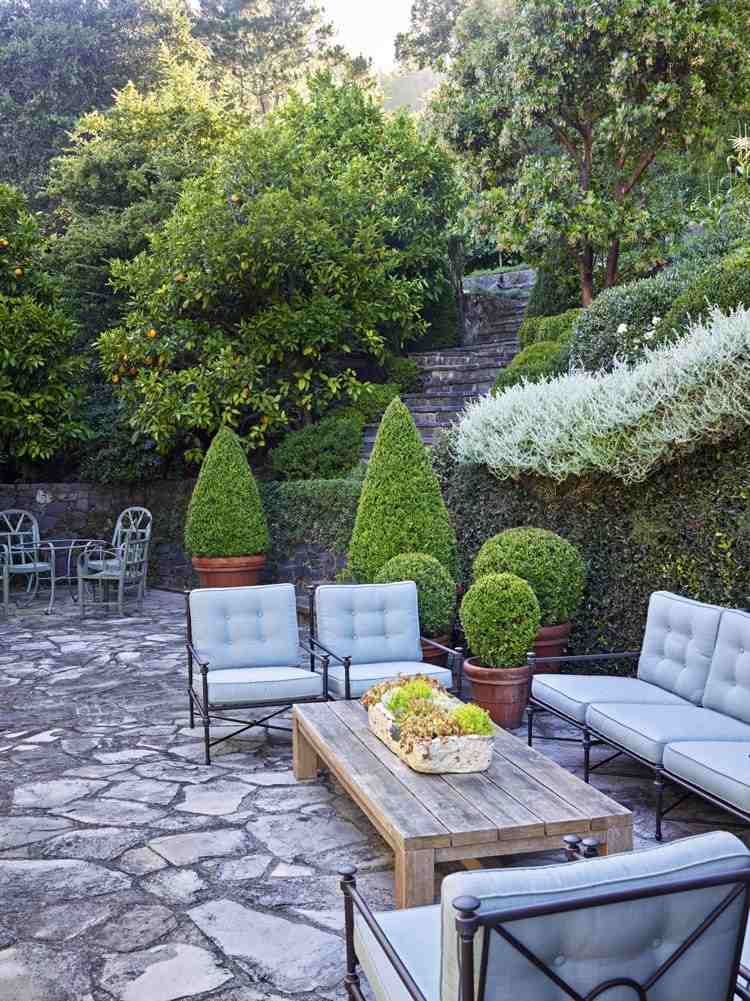 Malolistý zimostráz ako rastlina vane na terase