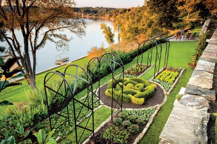 Japonské odrody zimostrázu odolné voči hubám a odolné