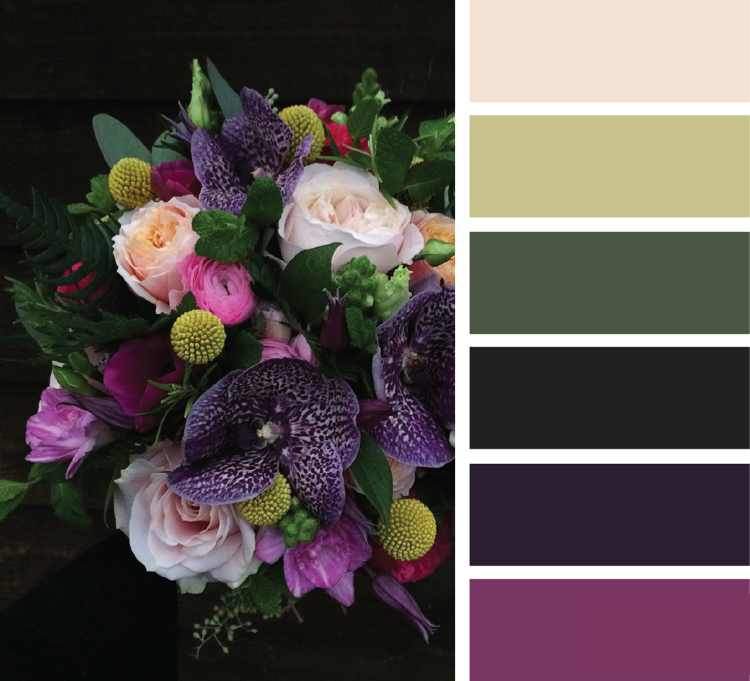 K kaki sa výborne hodia farby ako slivková purpurová svetlo zelená piesková farba