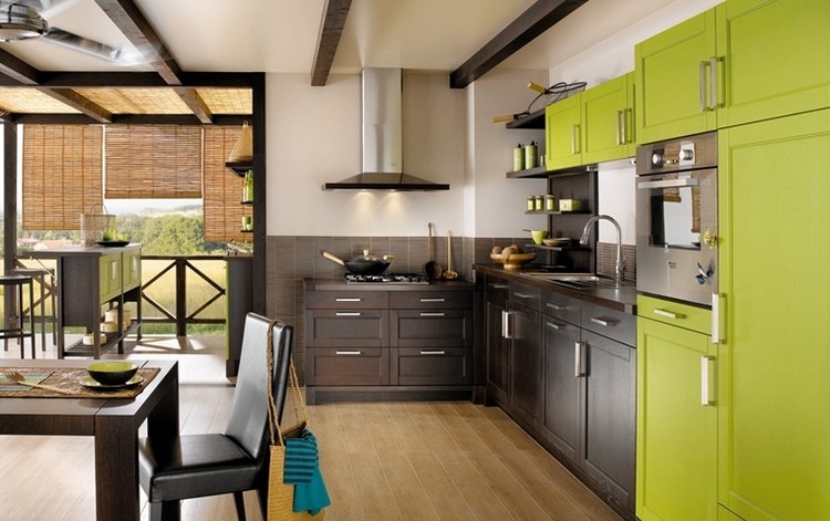 Kuchyňa vo vidieckom štýle vo farbe wenge a zelenej ktoré-farby-zápas-wenge-kuchyňa-vidiecky štýl-môže-zelená-predná-kombinácia