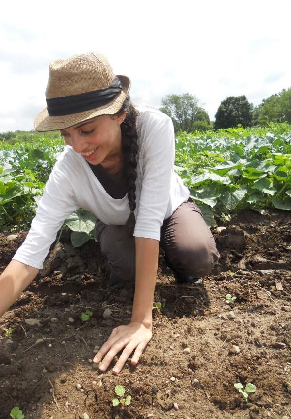 Odolné ovocie-zelenina-rastliny-jesenné pôdne hnojivá-kompostér