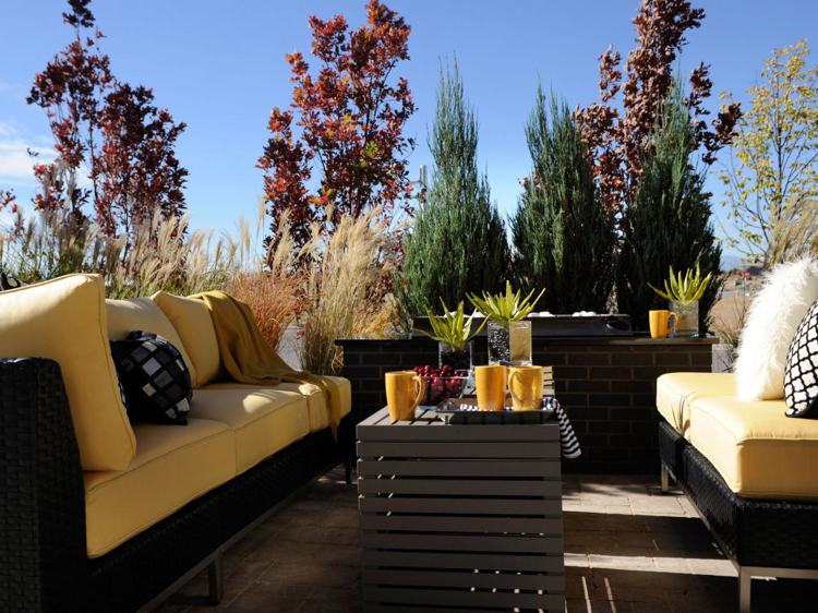 Rastliny ako terasa na ochranu osobných údajov-okrasná tráva-porcelán-slonová tráva