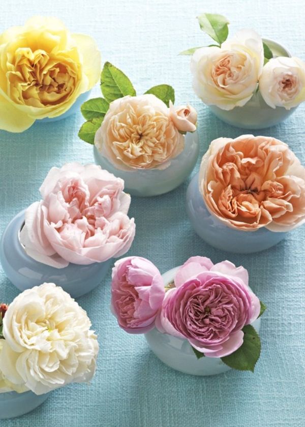 Individuálne farebné riešenia pre každý stôl jednoduchá myšlienka-pentecost-ruža-stôl-dekorácia-svadba