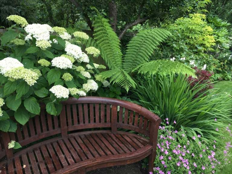 Zarastená záhrada - tipy na prípravu a redizajn