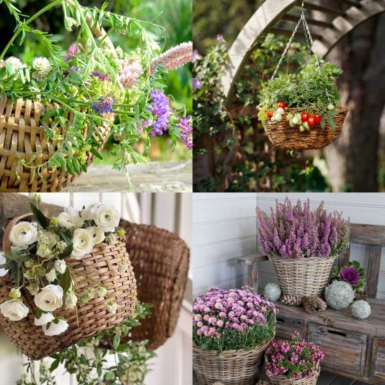 Výsadba košíka z prútia jednoduché pokyny nápady pre záhradu trendy v záhrade v roku 2019