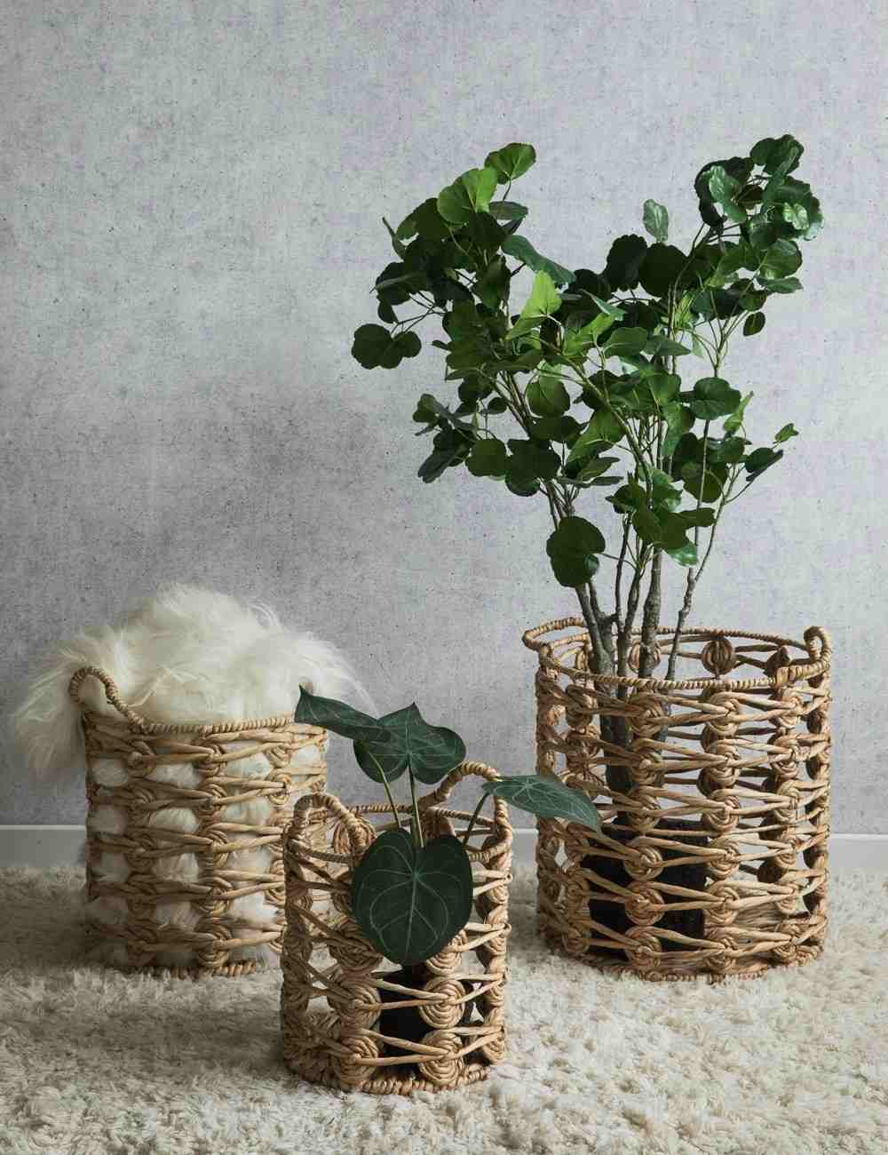 Výsadba prútených košov nápady interiérový dizajn živé trendy živé doplnky