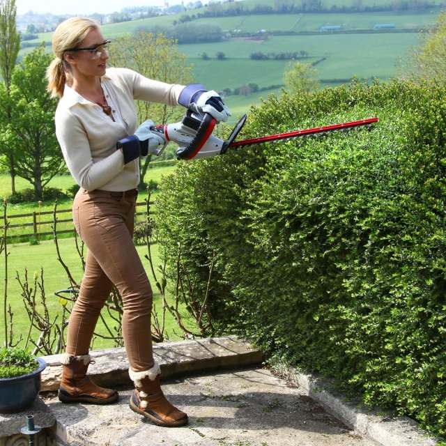 Ochranná clona, ​​živý plot v záhrade, rezaný buxus