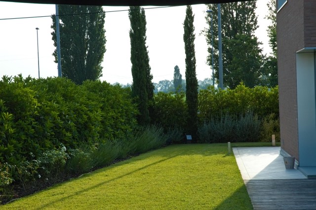 Živý plot na ochranu súkromia v záhrade na okraji kosenia trávnika