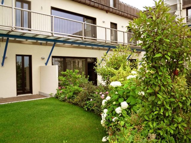 Súkromie-živý plot-záhradný-dizajn-hortenzie-trávnik