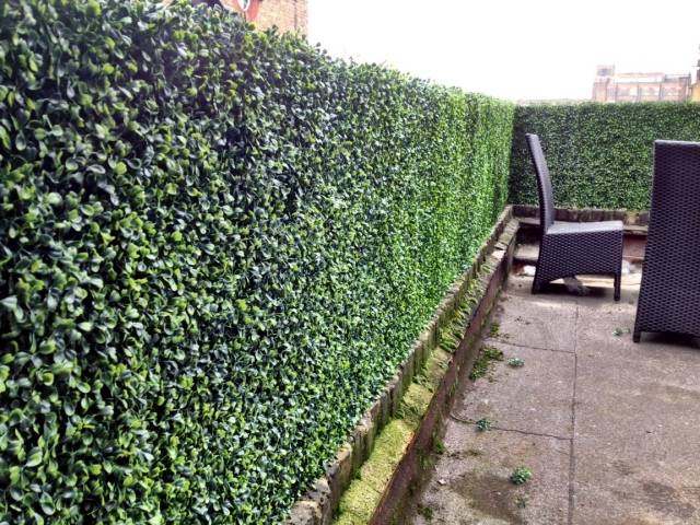 Živý plot na ochranu súkromia v záhradnom ratanovom nábytku