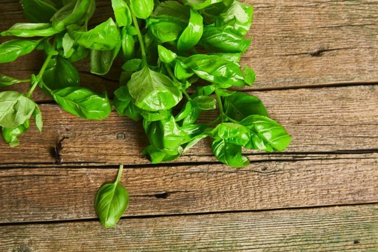 Zachovanie bazalky - čo môžete robiť s bazalkou