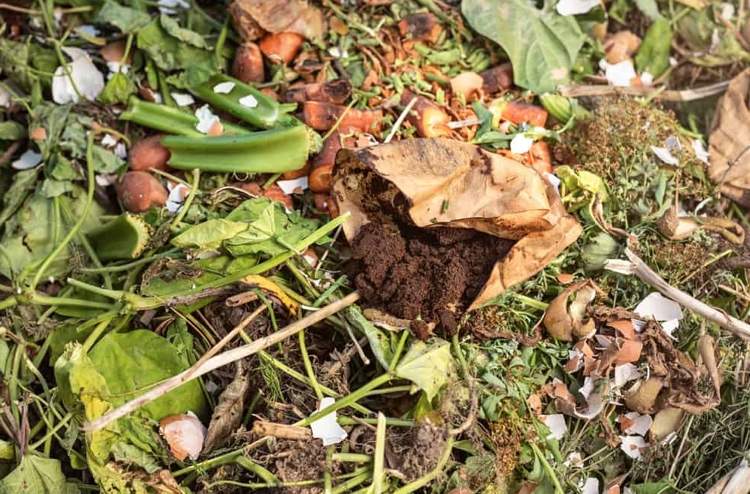 Kávová usadenina na kompostéri