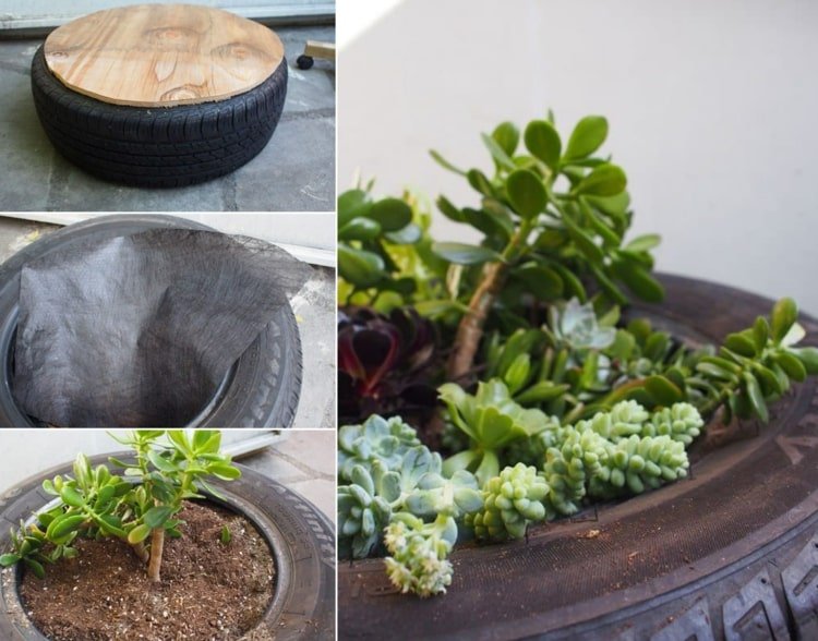 Sukulenty vysádzajúce do automobilových pneumatík s preglejkou do interiéru