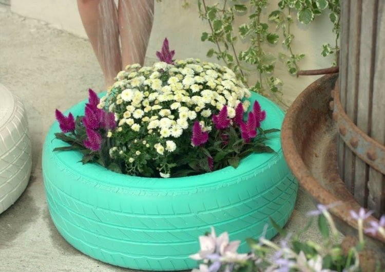 Zasaďte mätové zelené automobilové pneumatiky s fuchsiami