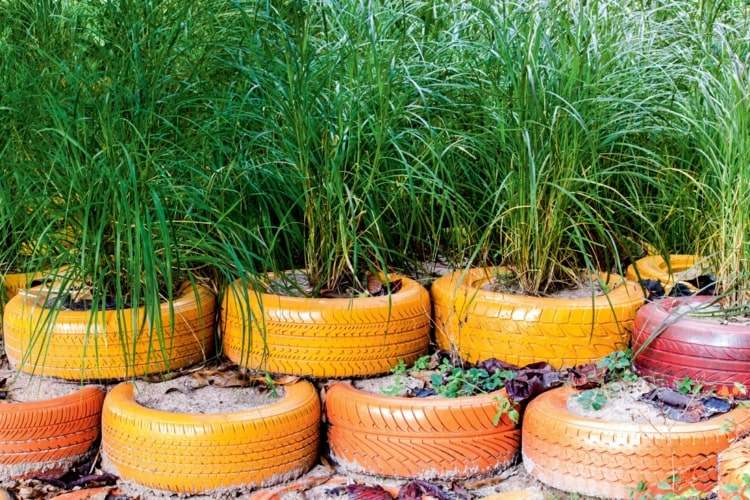 Sadenie automobilových pneumatík - pokyny pre kreatívne vane