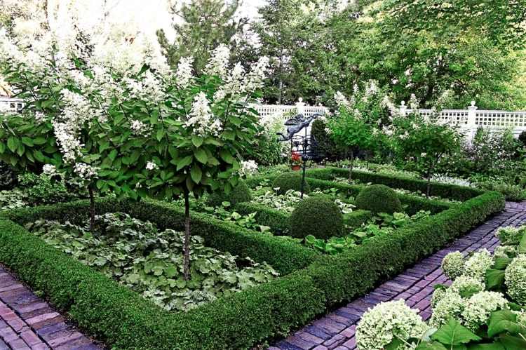 Skombinujte zimostráz s stromčekom a zemným krytom