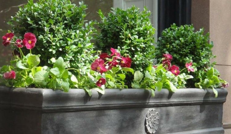 Aranžmán na kvetinový box s truhlíkom a letnými kvetmi