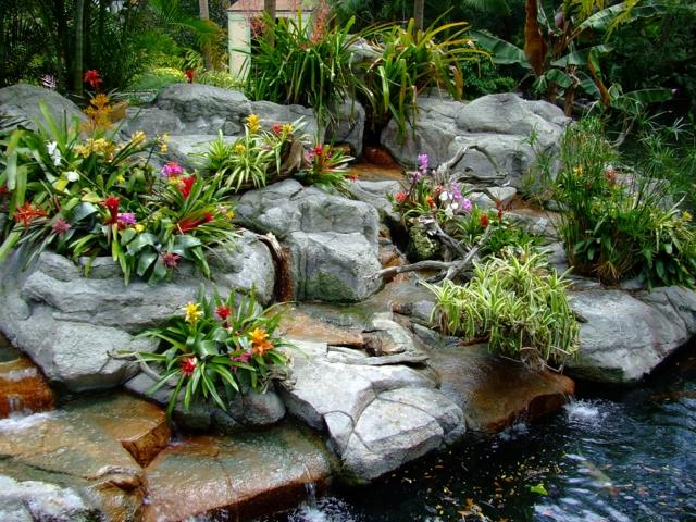 ako profesionáli príklady jazierkové kamene Koi kvety