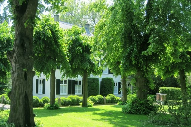 Stromy záhradný dizajn nápady trávnik koloniálny štýl budovy